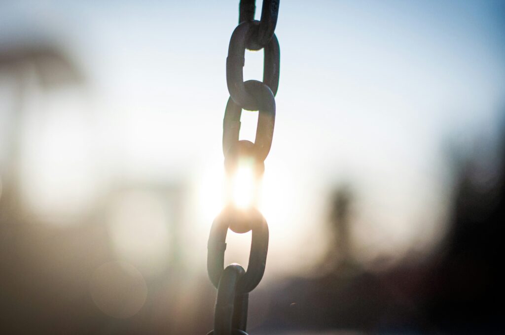 Slave-Free Alliance & International Associates: Strengthening Collaboration for Better Human Rights Practices